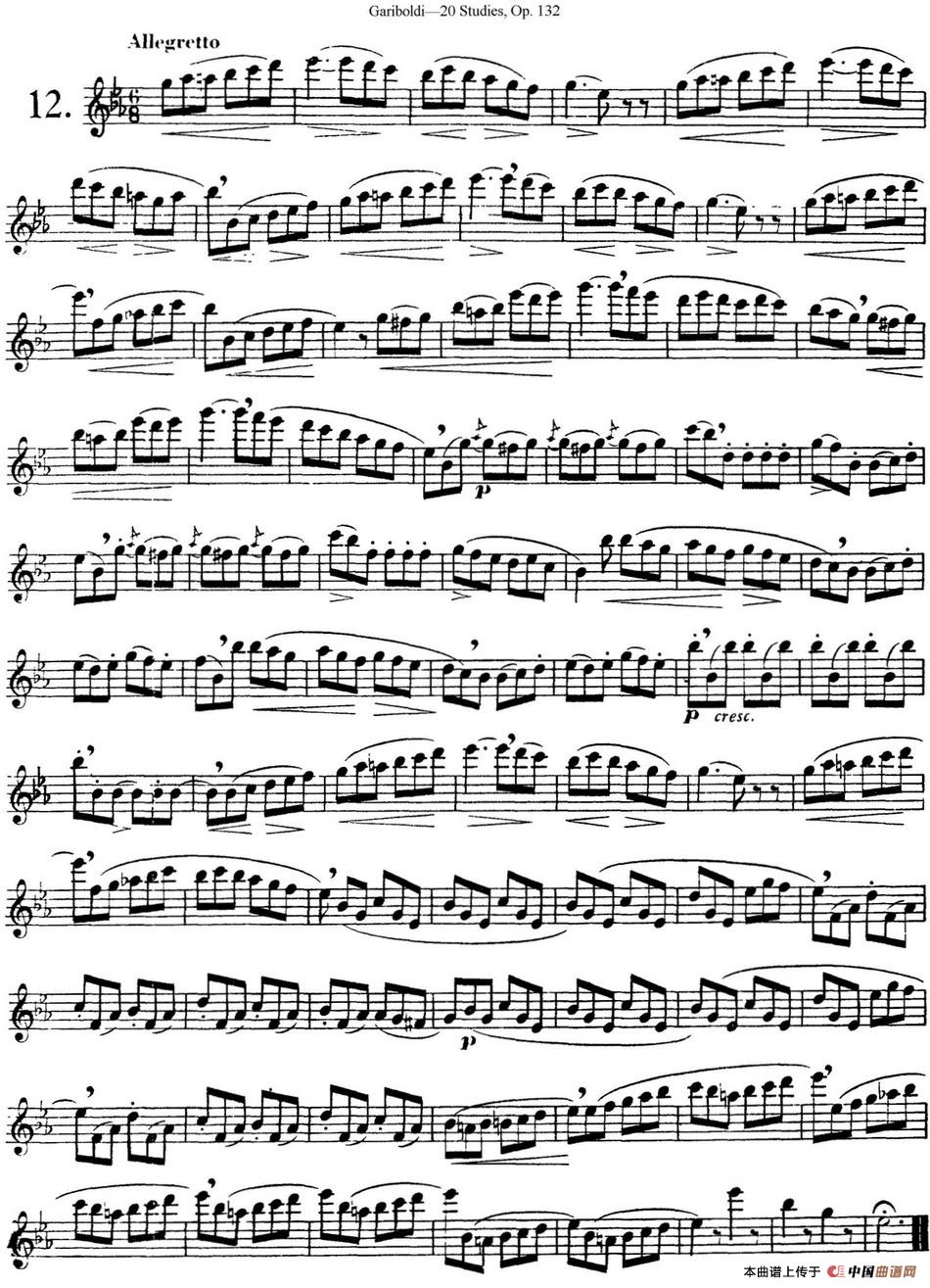 二十首练习曲作品132号之12长笛谱