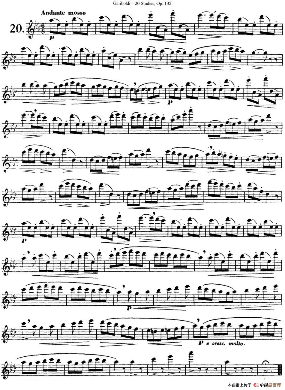 二十首练习曲作品132号之20长笛谱