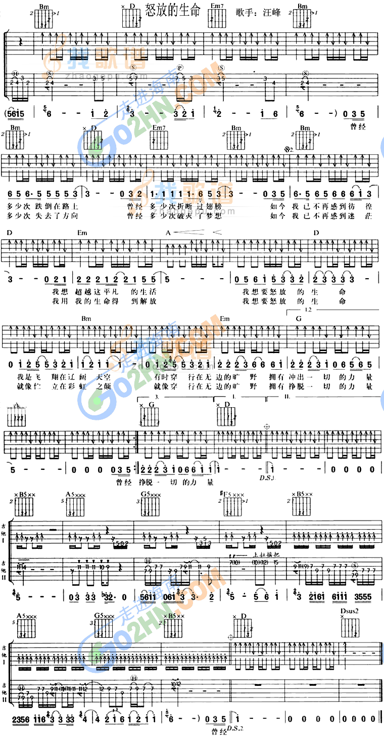 怒放的生命吉他谱