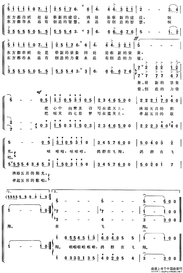 鸽群在飞翔合唱谱