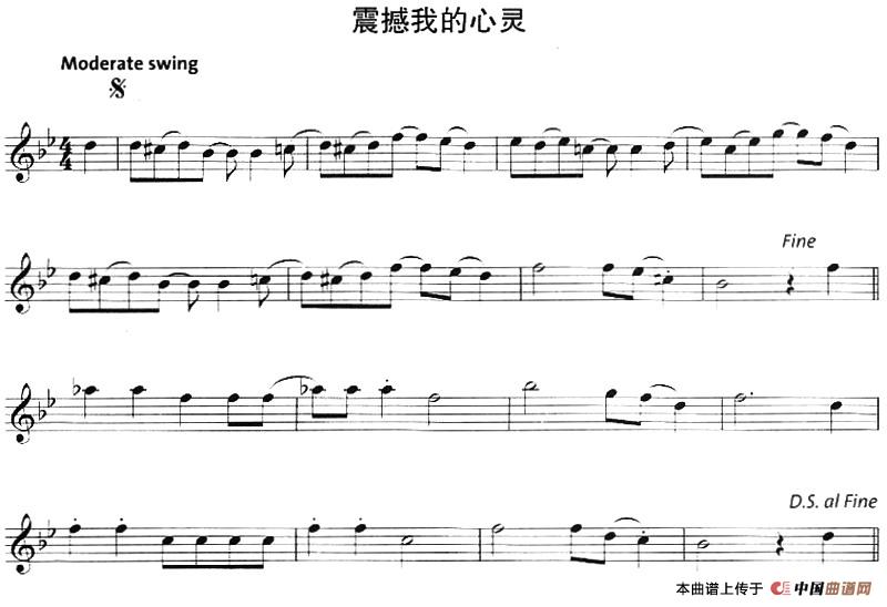 震憾我的心灵