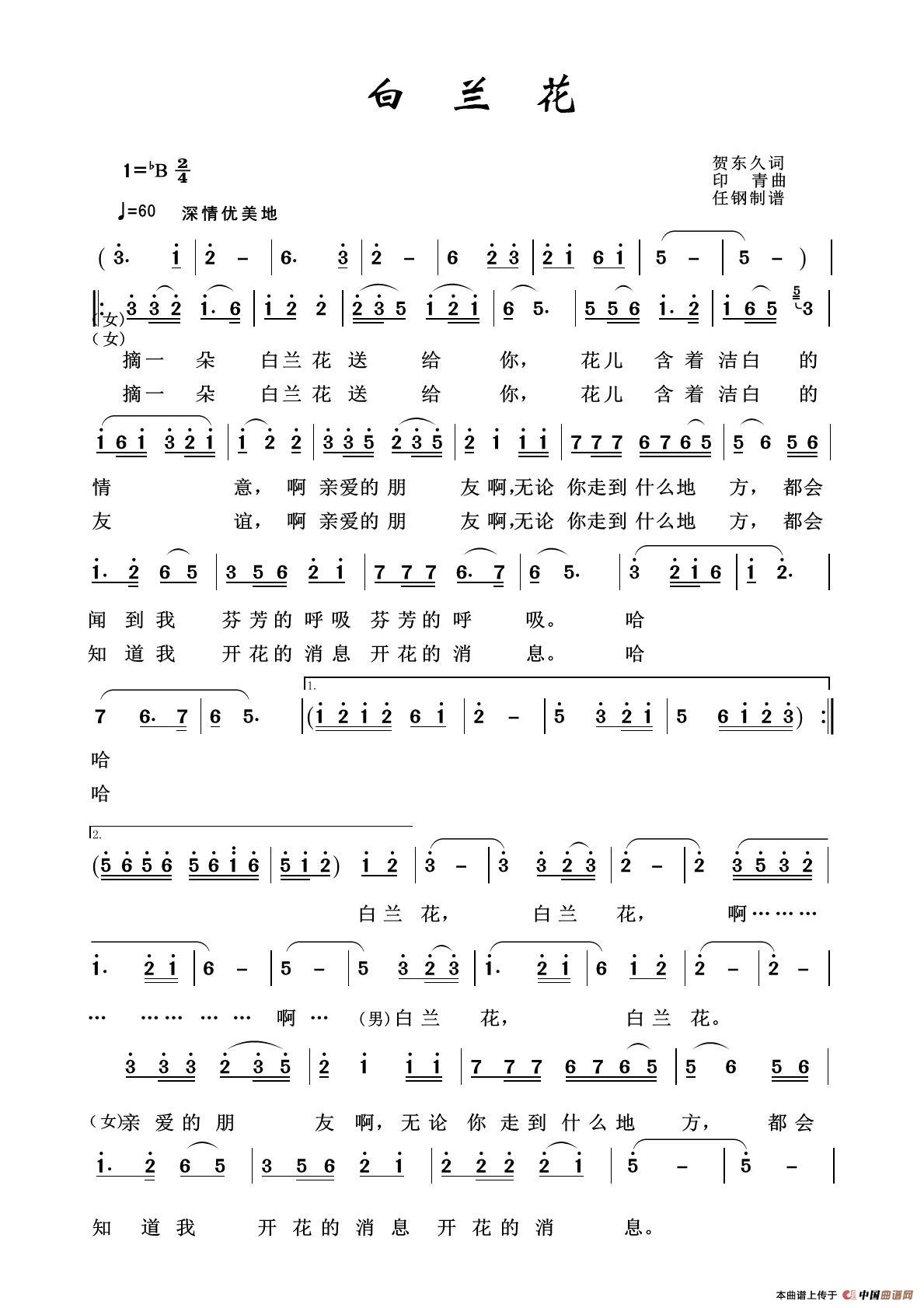 白兰花（军旅歌曲100首）