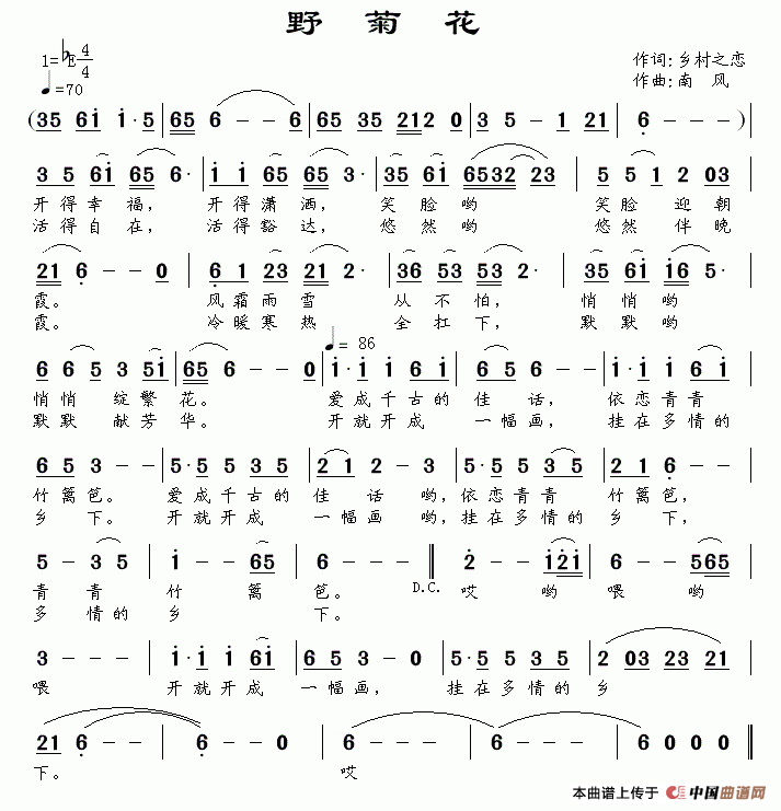 野菊花（乡村之恋词 南风曲）