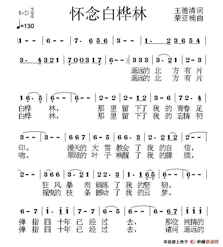 怀念白桦林