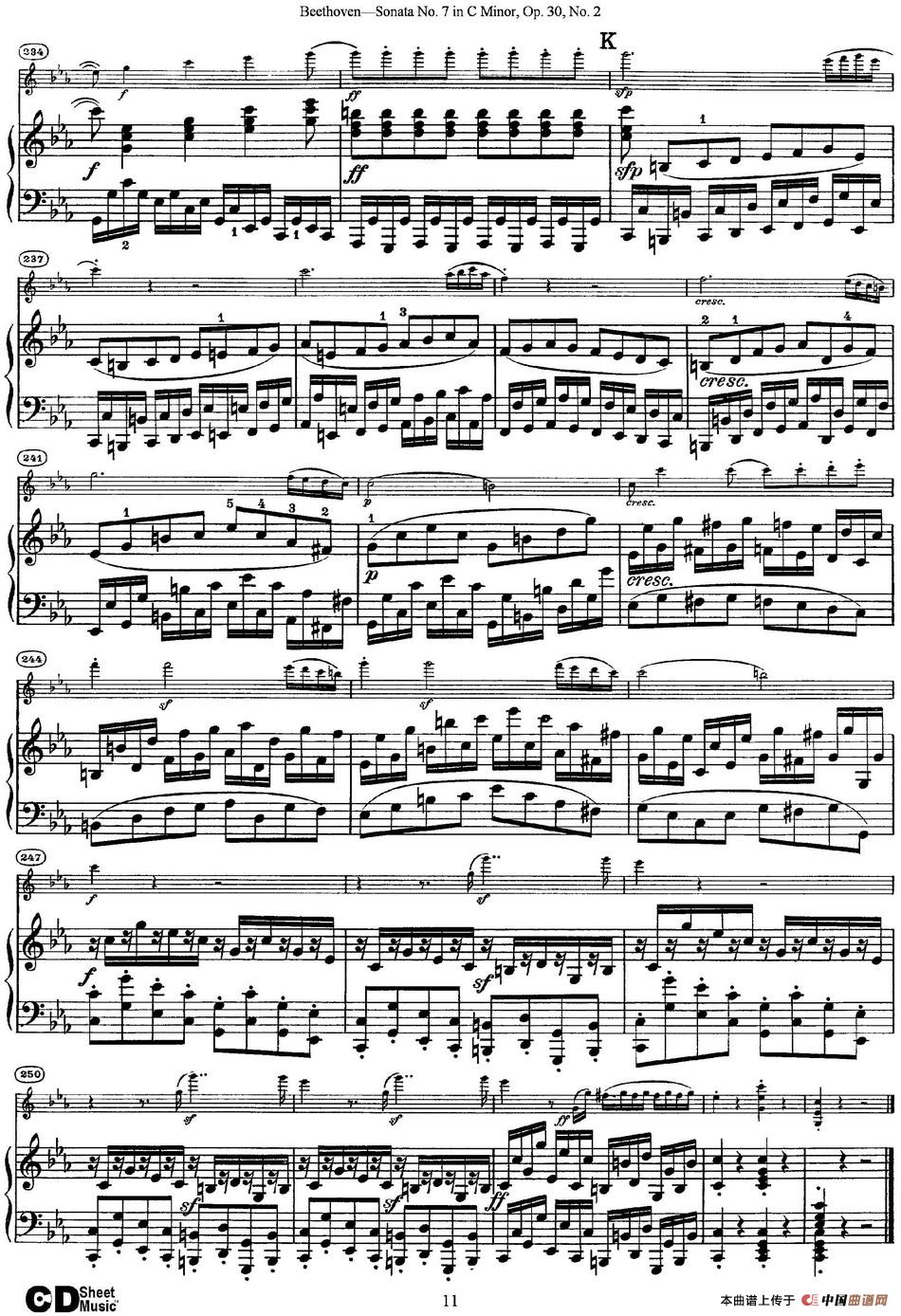 Violin Sonata No.7 in C Minor Op.30 No.2（小提琴+钢琴伴奏