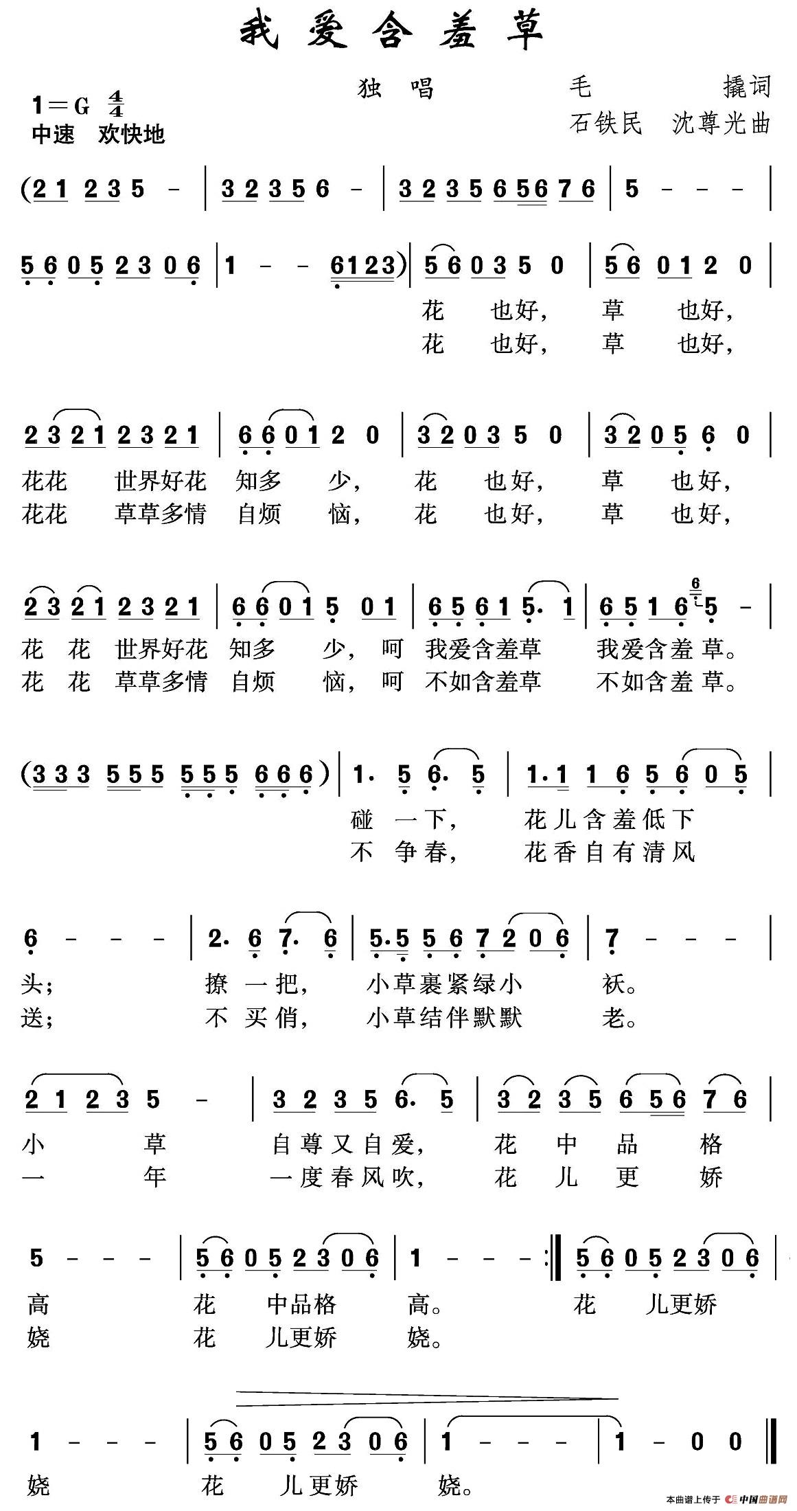 我爱含羞草