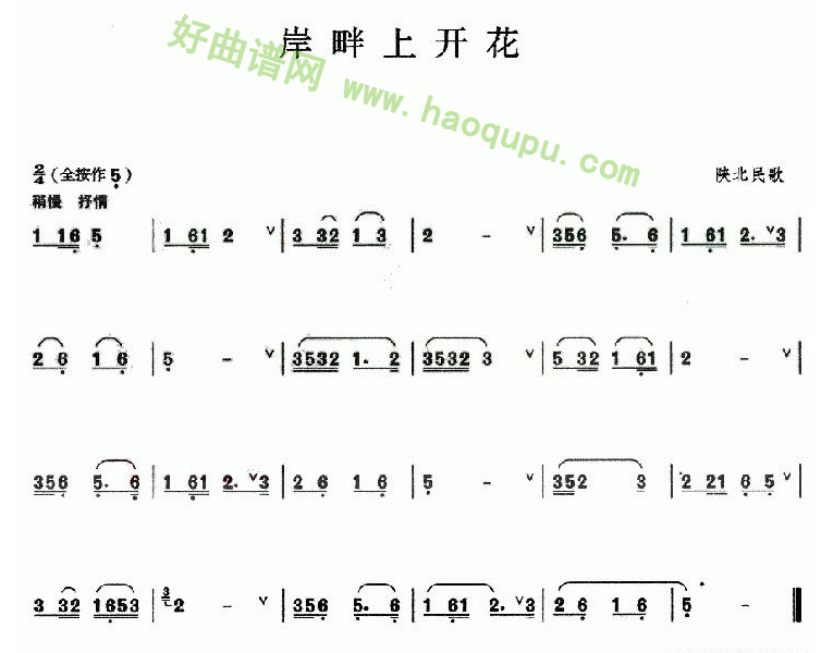 《岸畔上开花》 葫芦丝曲谱