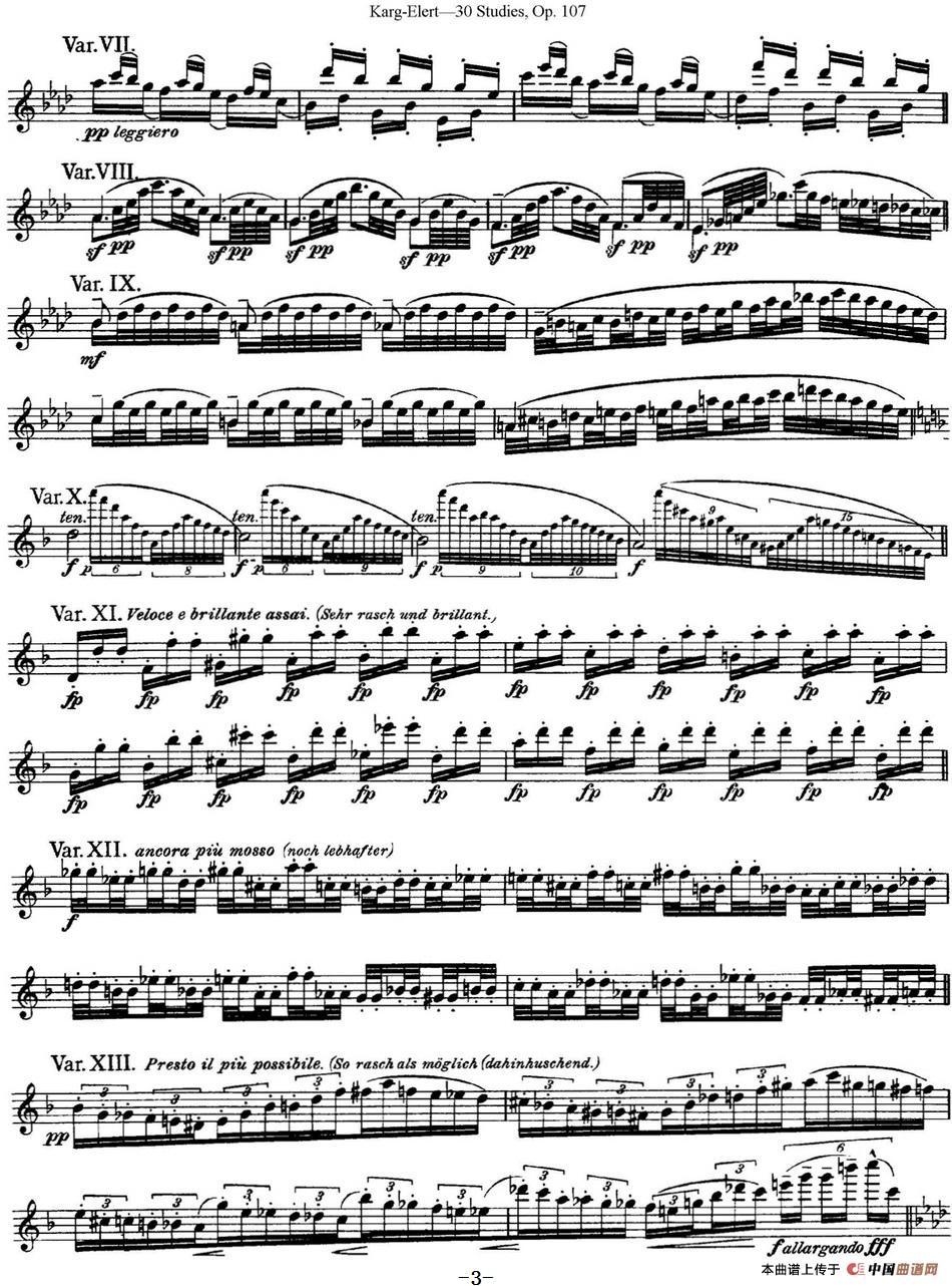 卡-伊勒特30首长笛练习曲Op.107（NO.28-NO.30）