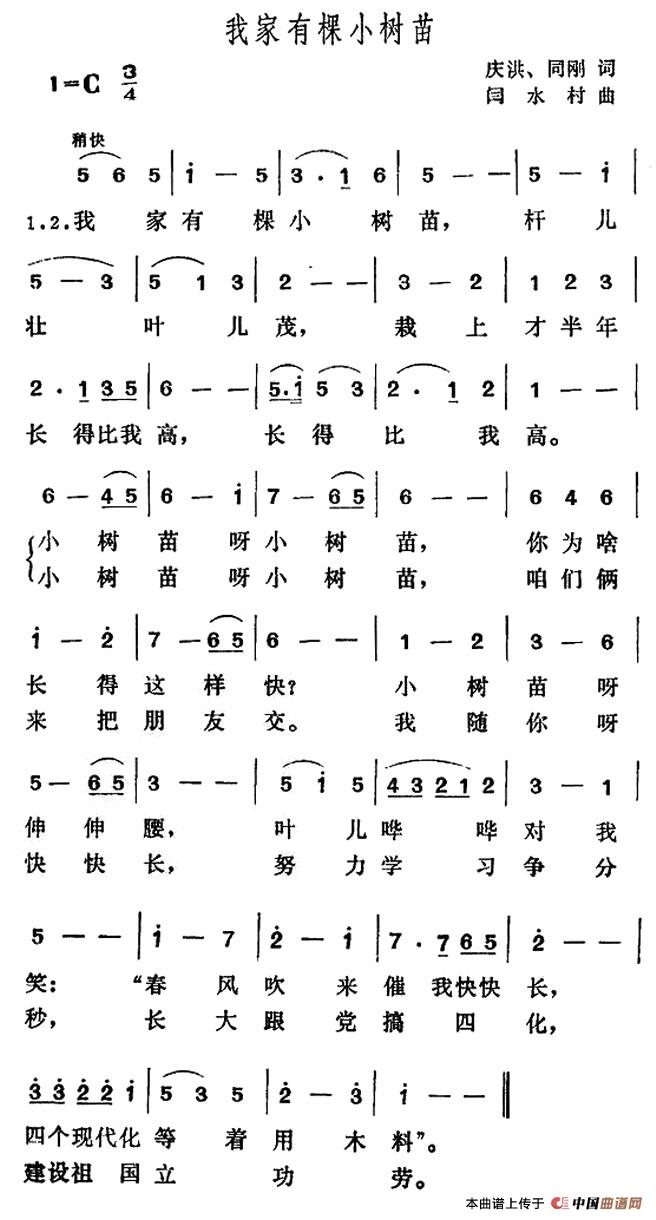 我家有棵小树苗