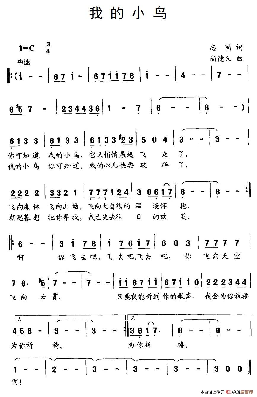 我的小鸟