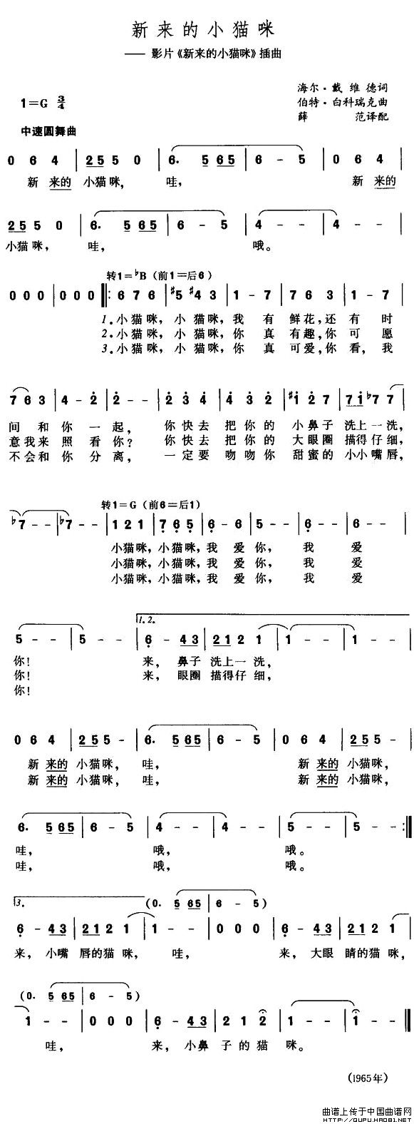 [美] 新来的小猫咪