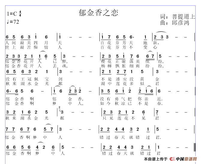 郁金香之恋