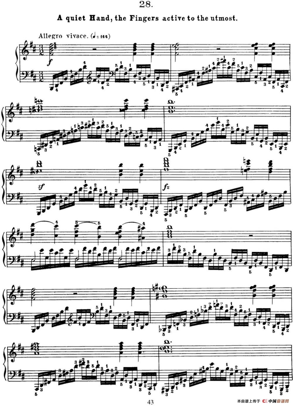 50首车尔尼Op.740钢琴手指灵巧技术练习曲（NO.28）