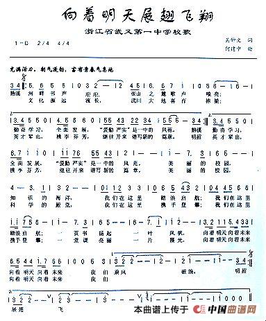 向着明天展翅飞翔