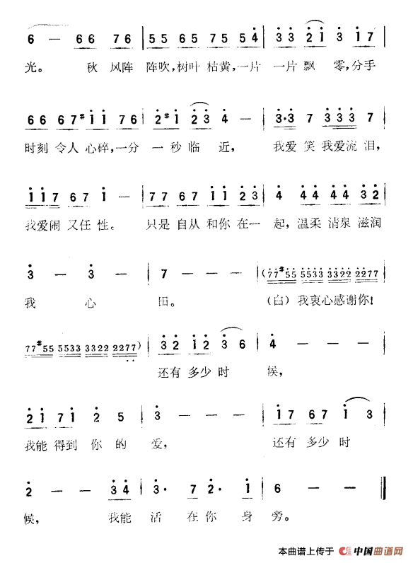 [日]感谢你（电视剧《血疑》主题歌）