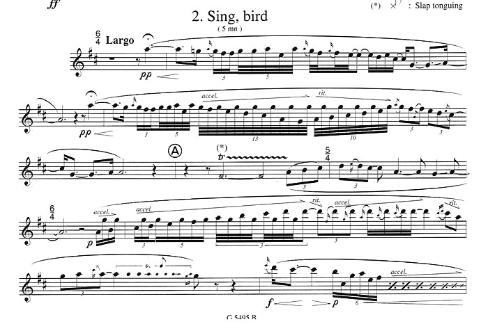 须川展也的《Fuzzy Bird Sonata》（Sing, Bird)毛绒鸟奏