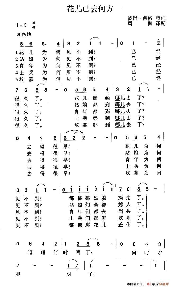 花儿已去何方