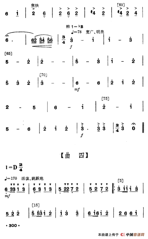 花竹帽献北京（毛难族舞蹈）