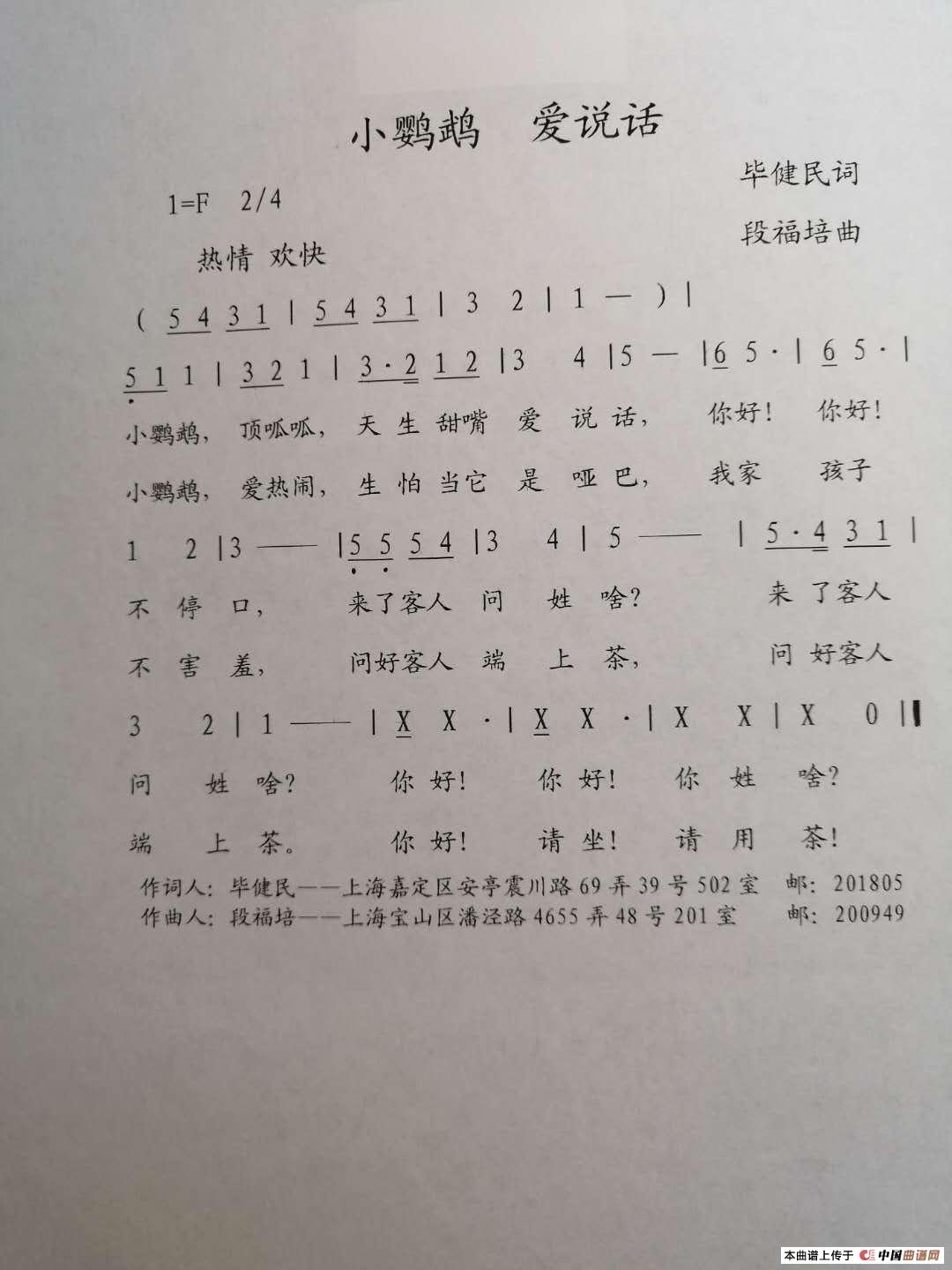 小鹦鹉 爱说话