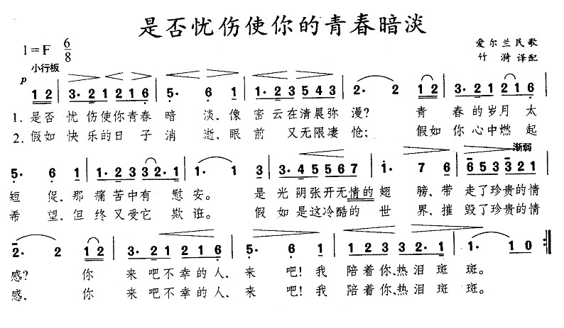 是否忧伤使你的青春暗淡（爱尔兰）