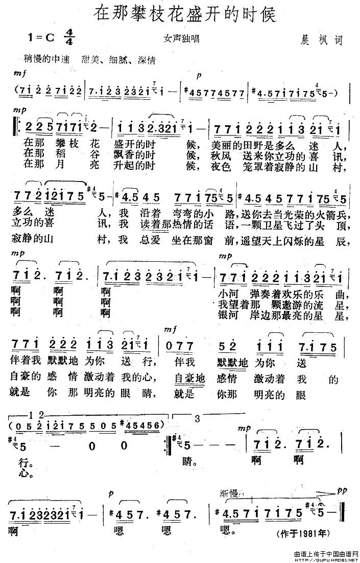 在那攀枝花盛开的时候
