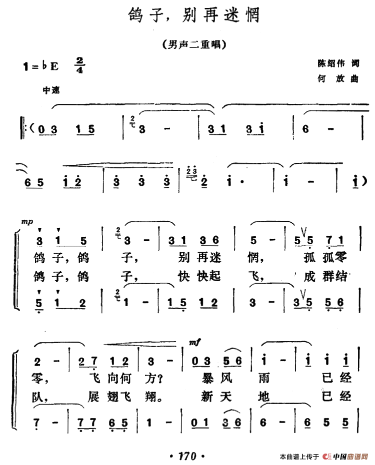 鸽子，别再迷惘（男声二重唱）