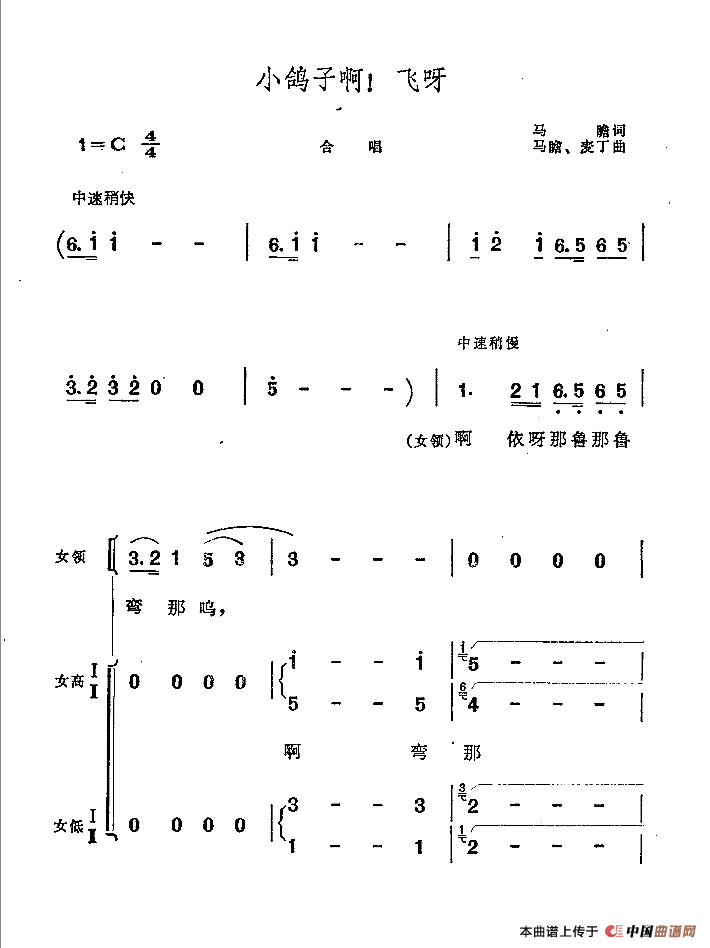 小鸽子啊！飞呀