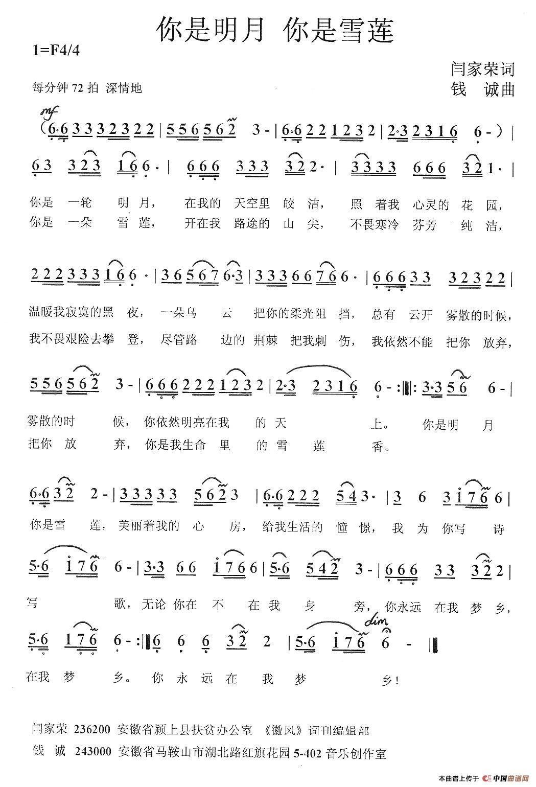 你是明月 你是雪莲