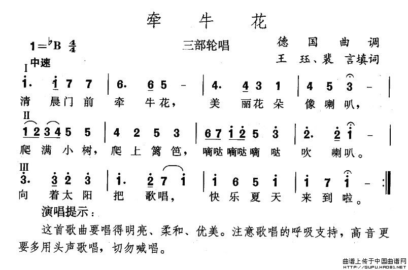 牵牛花（王珏填词版）