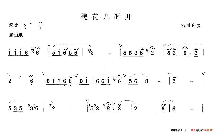 槐花几时开