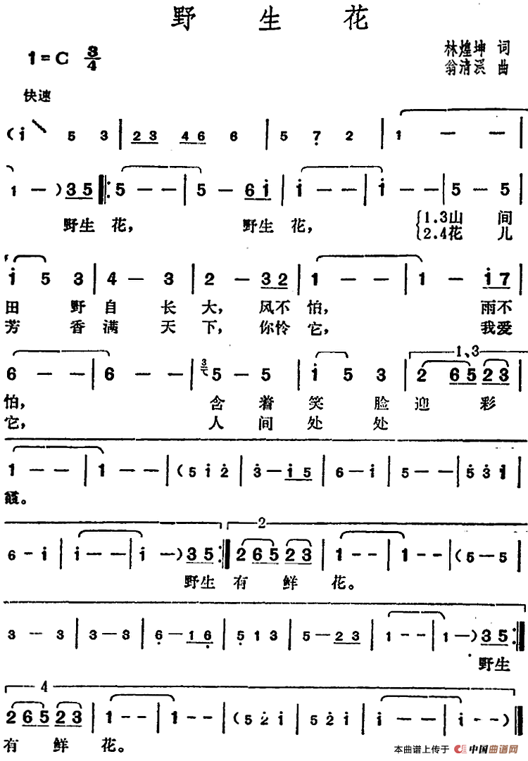 邓丽君演唱金曲：野生花