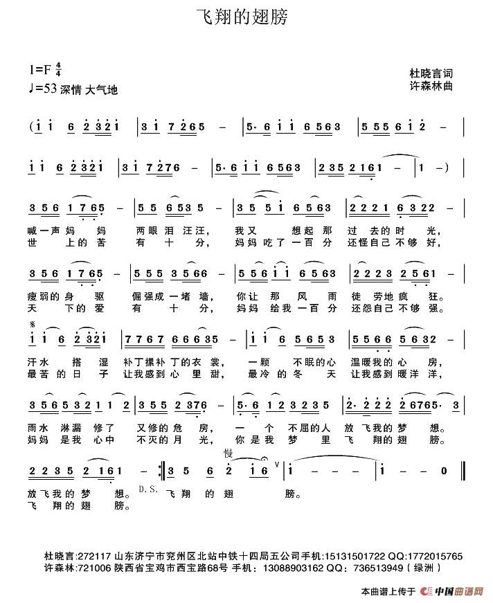 飞翔的翅膀