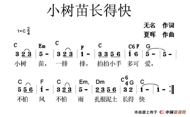 小树苗长得快