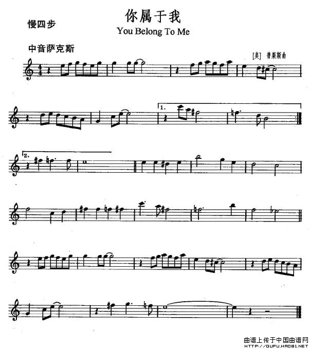 你属于我（You Belong to Me）