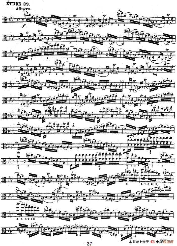 克莱采尔《中提琴练习曲40首》（ETUDE 27-29）
