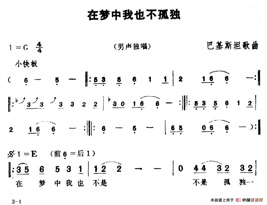 [巴基斯坦]在梦中我也不孤独