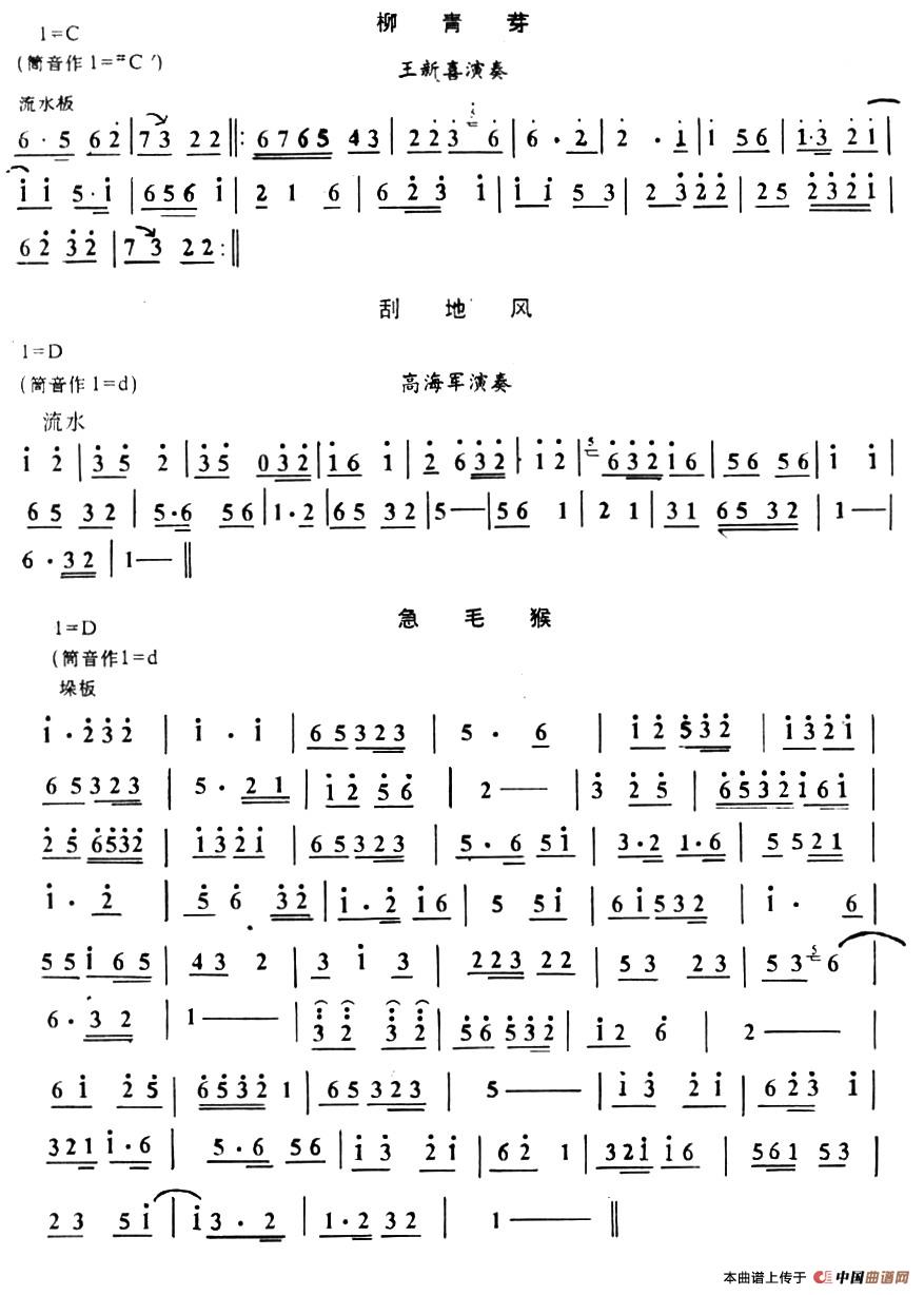 民间唢呐曲：柳青芽、刮地风、急毛猴