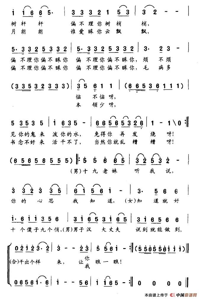 十九恋歌