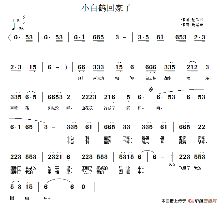 小白鹤回家了