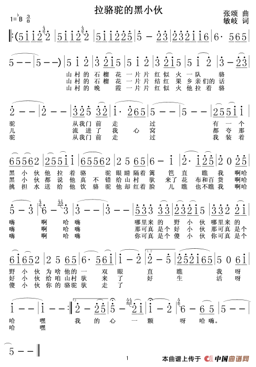 拉骆驼的黑小伙