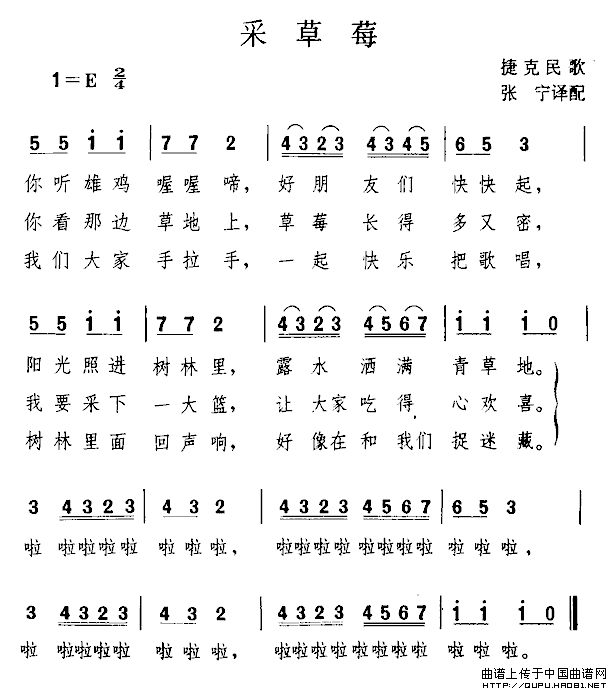 [捷克]采草莓