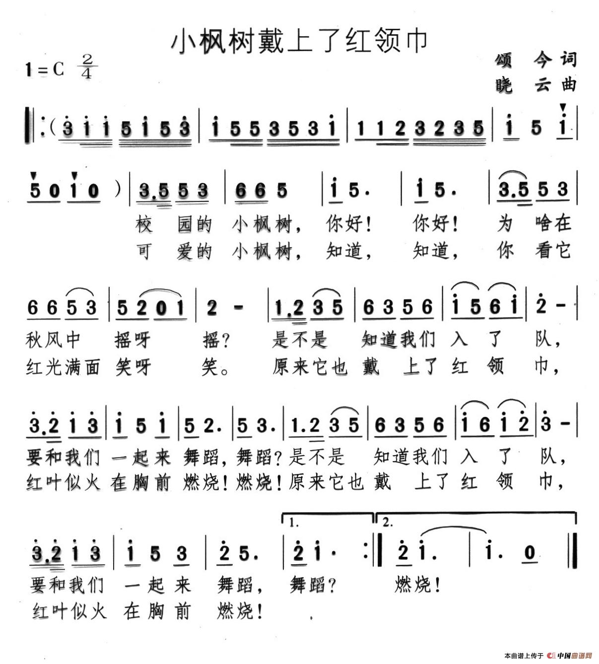 小枫树戴上了红领巾