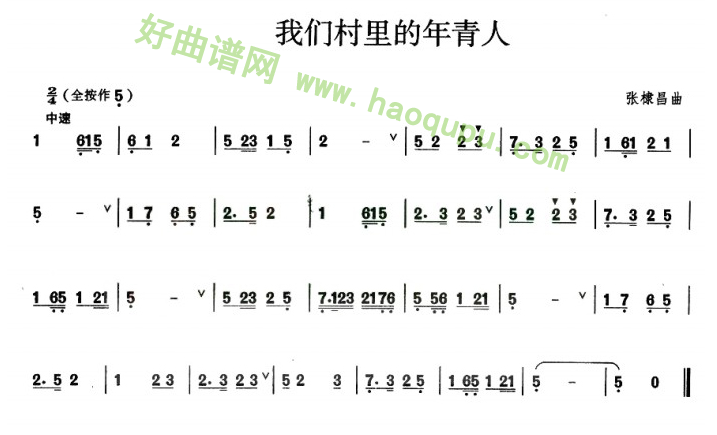 《我们村里的年轻人》 葫芦丝曲谱