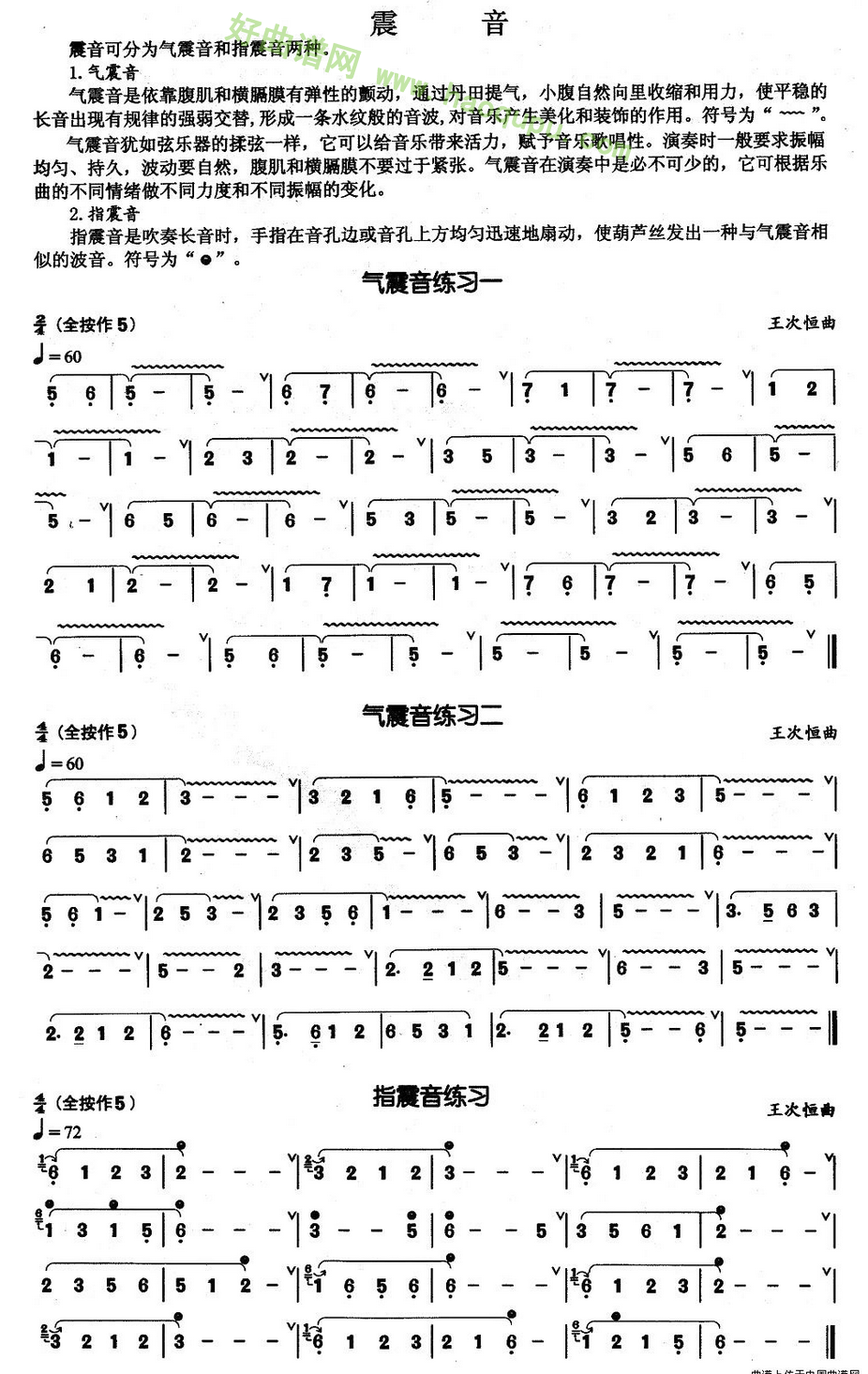 《葫芦丝技巧练习曲震音》葫芦丝曲谱