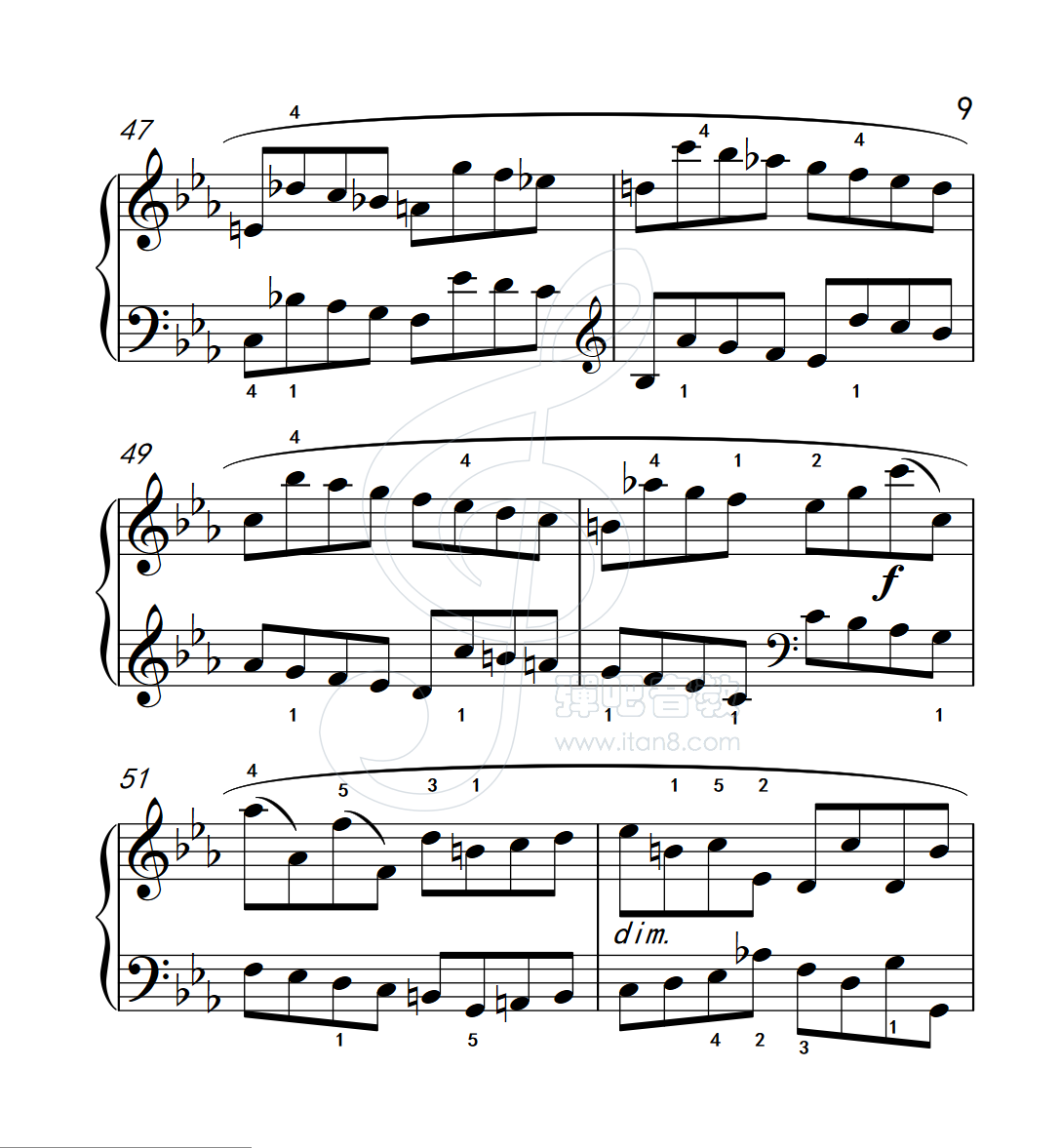 练习曲27