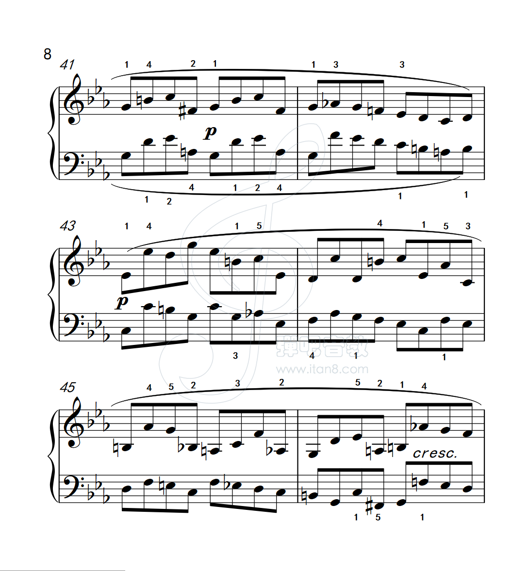 练习曲27