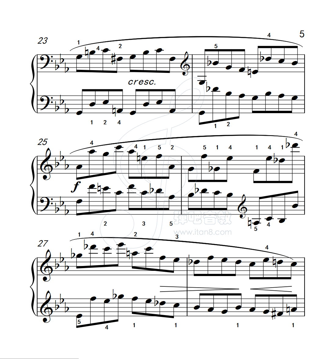 练习曲27