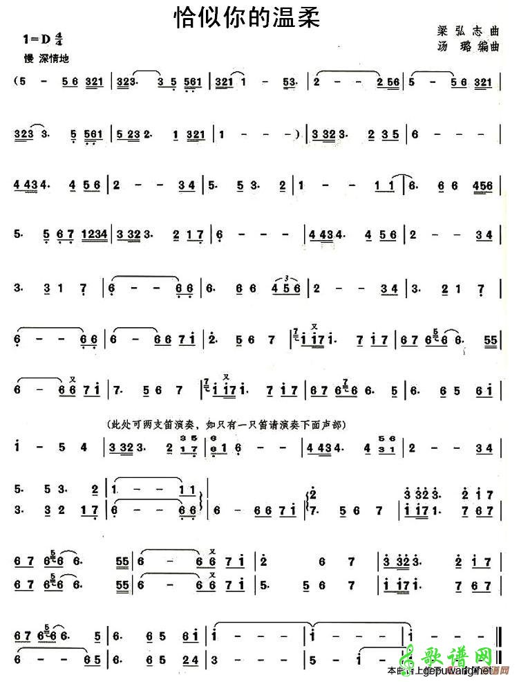 【恰似你的温柔笛子谱】