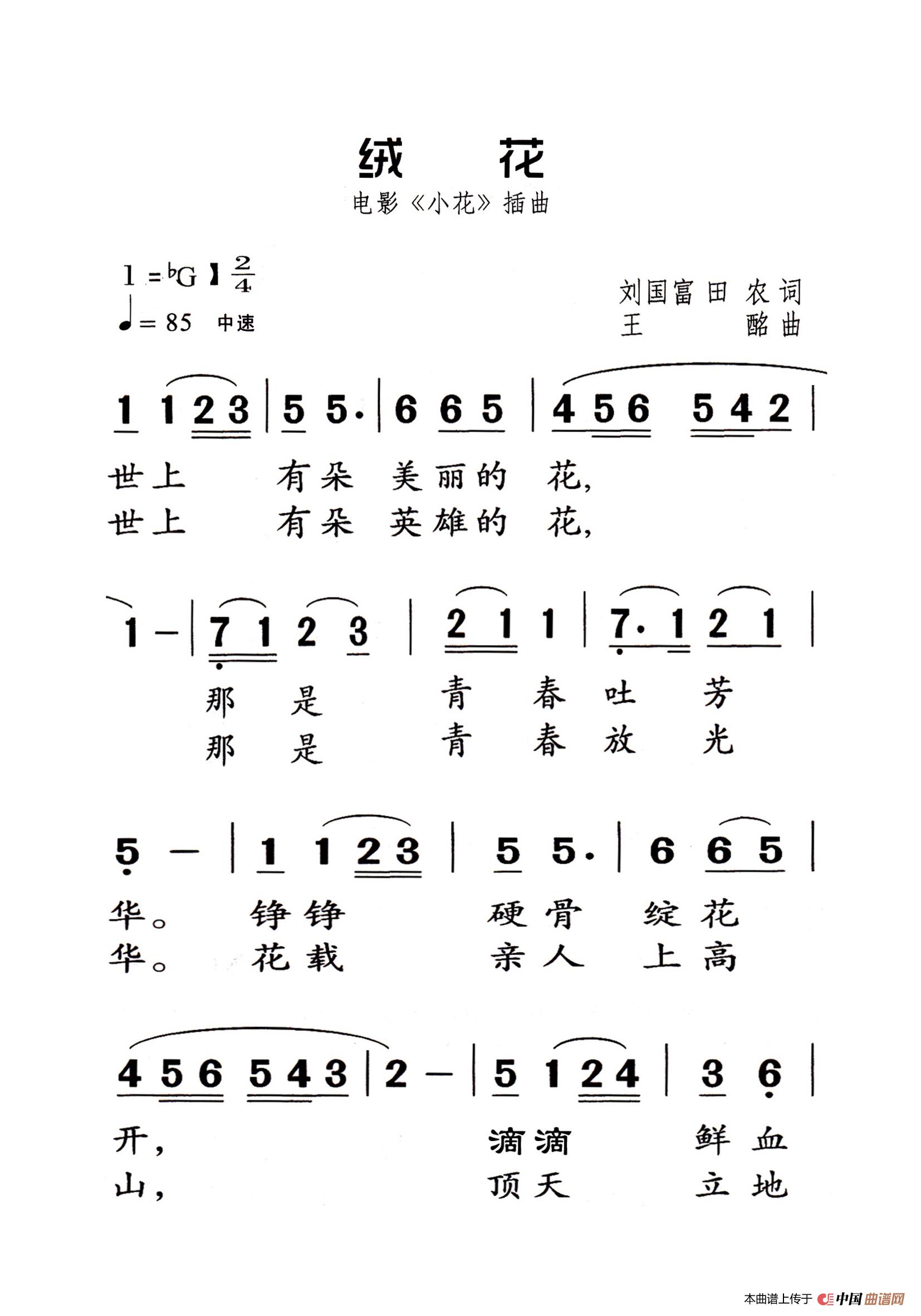 绒花（老人适用）