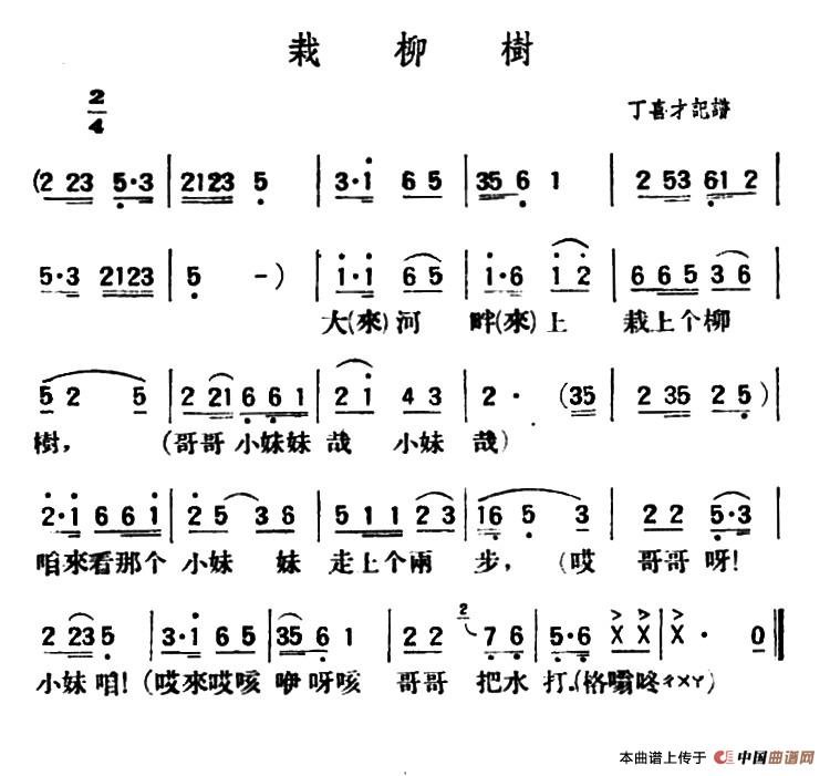 栽柳树（陕北榆林小曲）